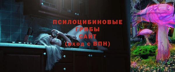 тгк Белокуриха