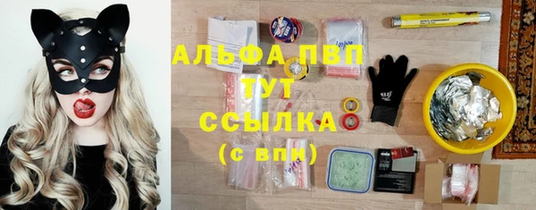 тгк Белокуриха