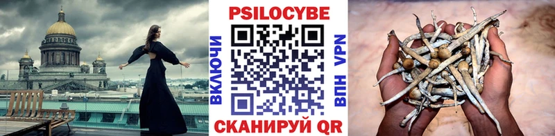 Псилоцибиновые грибы Psilocybe  гидра сайт  Лыткарино  дарнет шоп 
